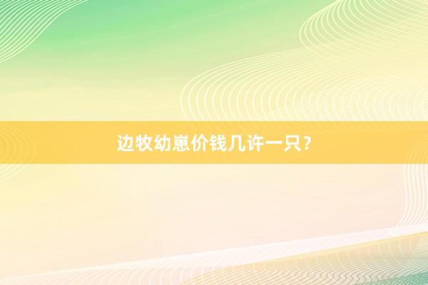 边牧幼崽价钱几许一只？